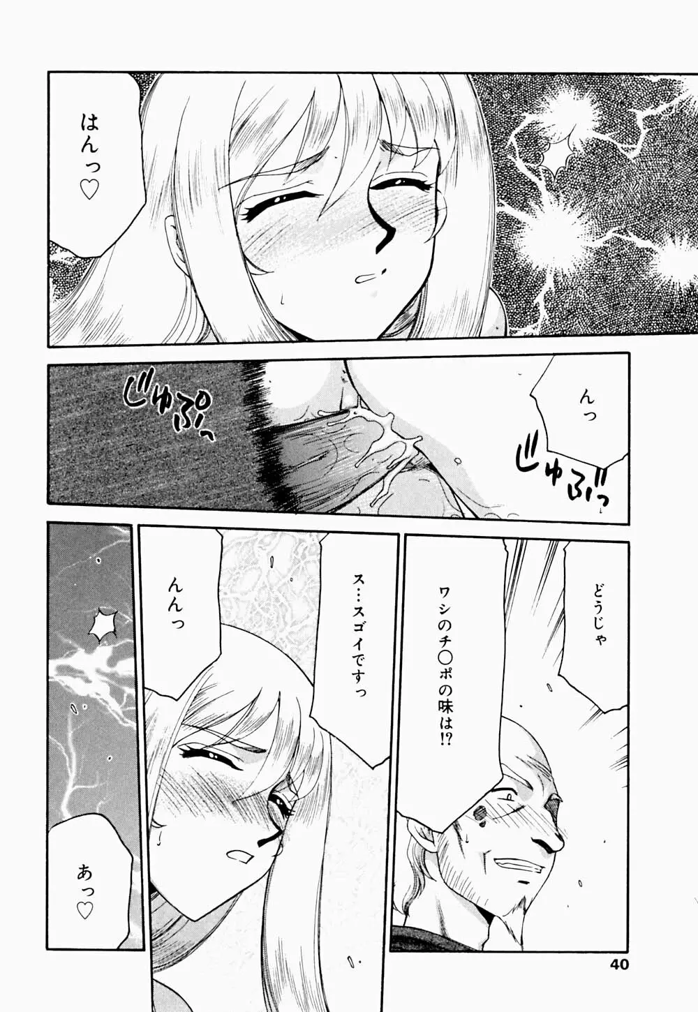 聖王女 フェリシア・下 Page.41