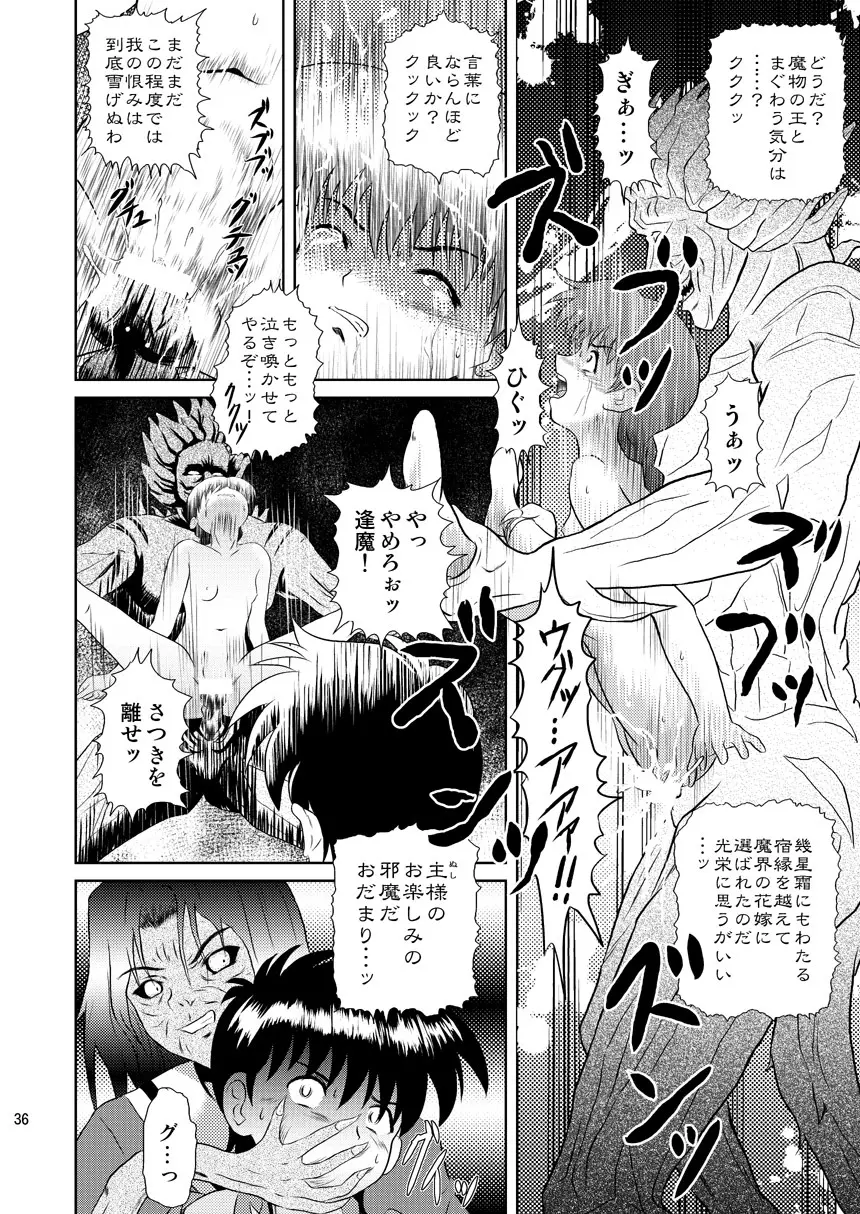 誰かのまだ知らない嘘 Page.36