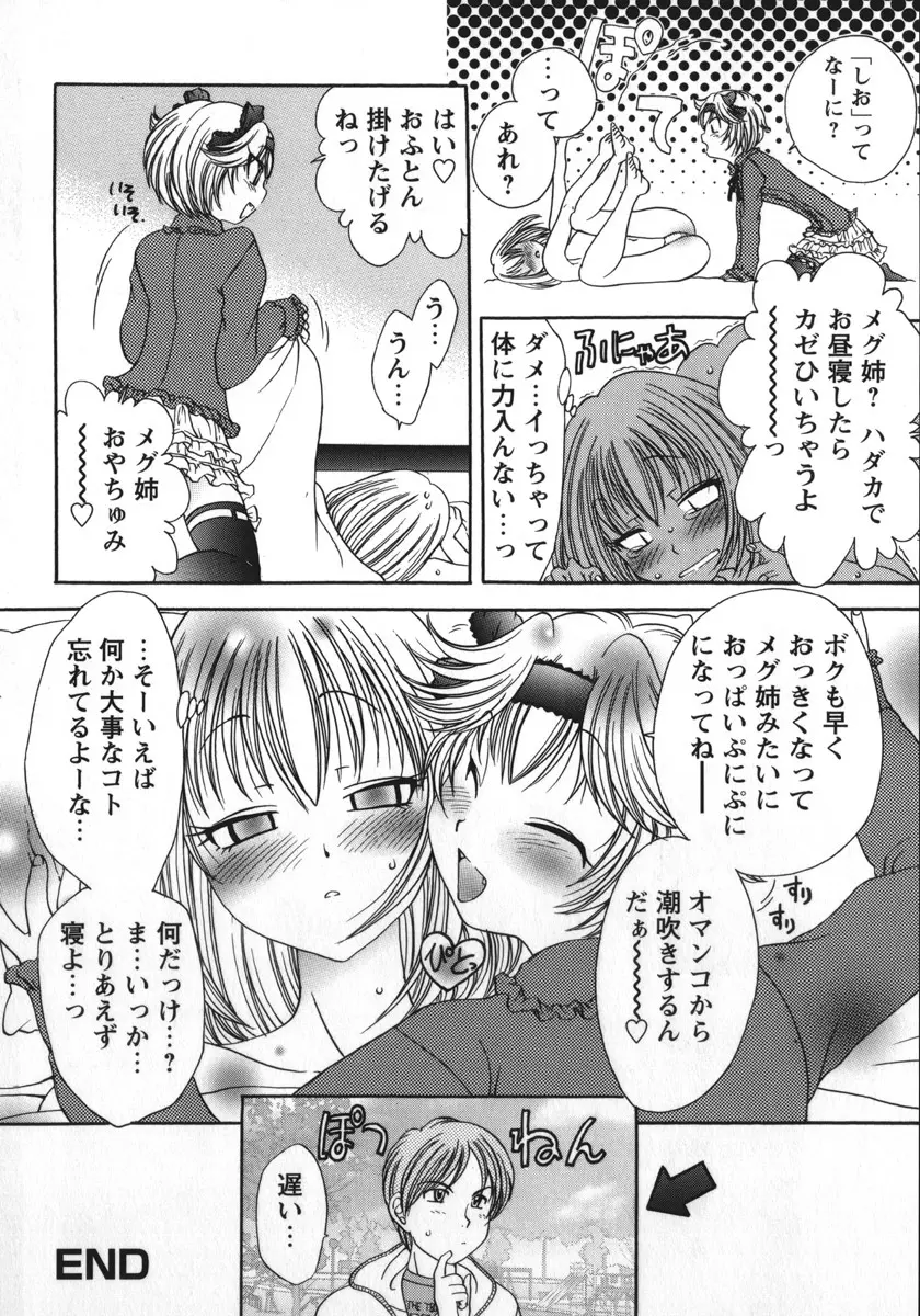 総統の肉人形 Page.35