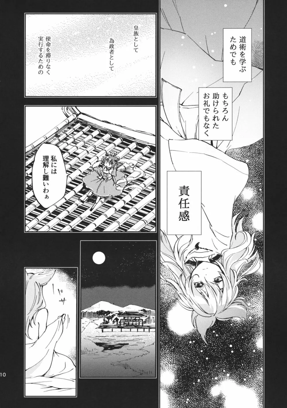 とある邪仙の回顧録 Page.11