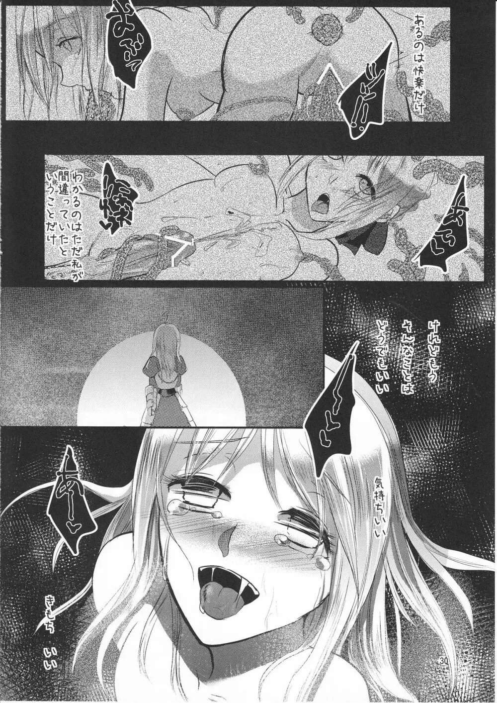 堕楽の華 Page.29