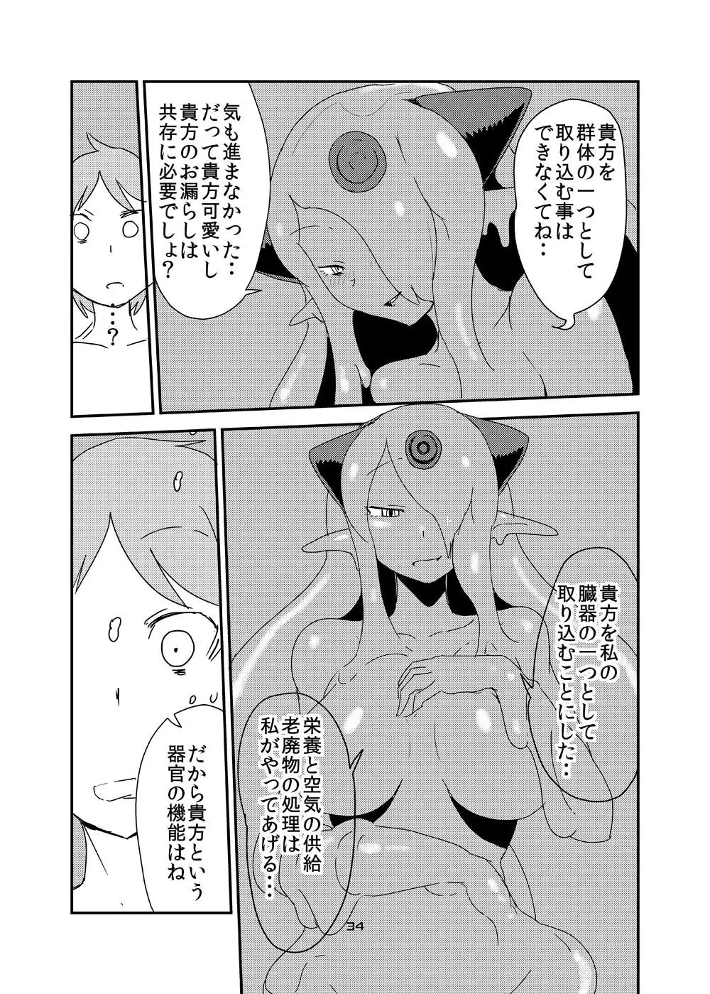 もんむす・くえすと!ビヨンド・ジ・エンド6 Page.33