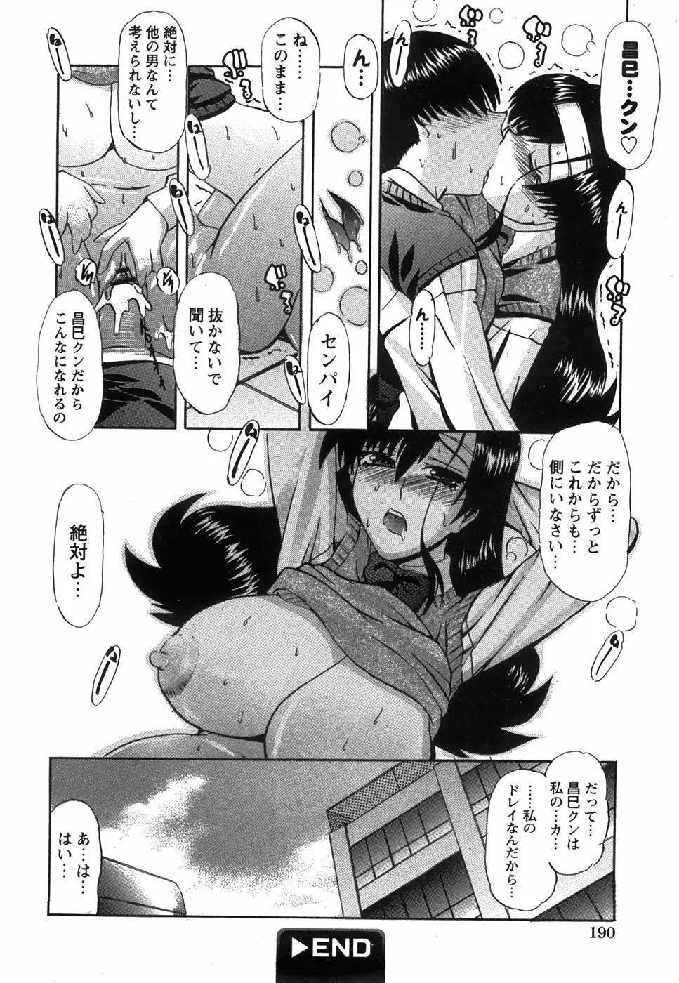 コミック 姫盗人 2008年7月号 Page.188