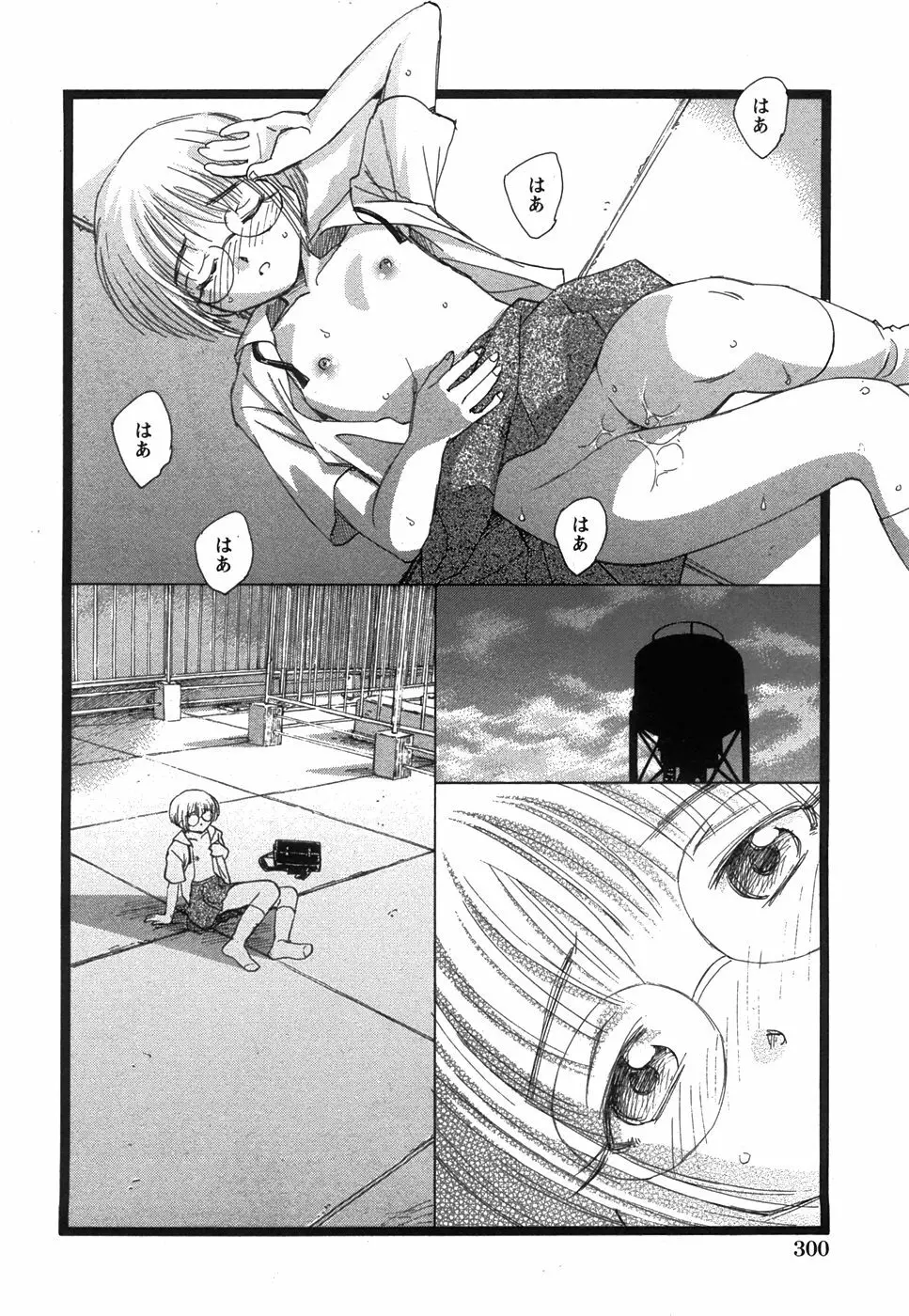 コミック 姫盗人 2008年7月号 Page.298