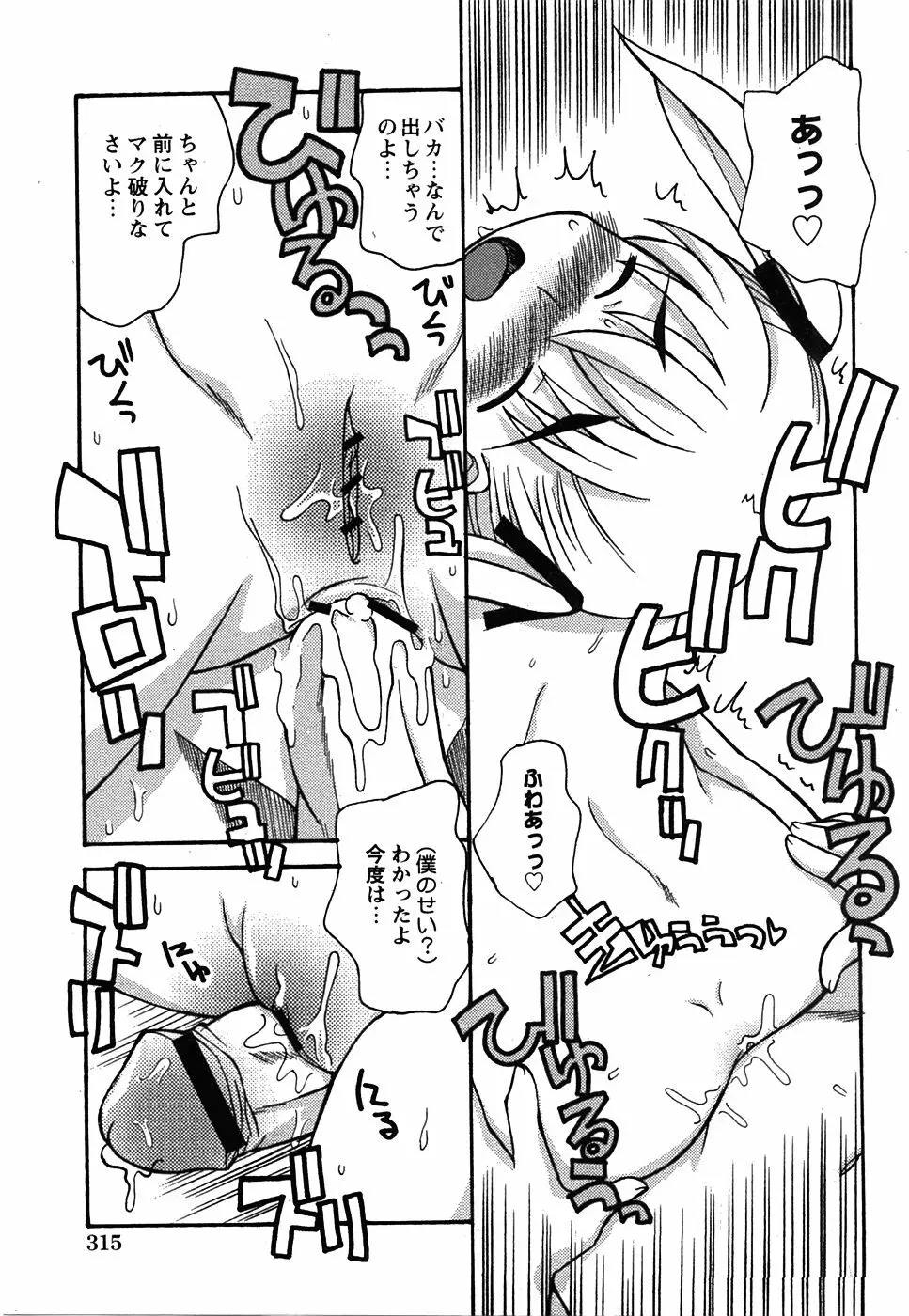コミック 姫盗人 2008年7月号 Page.313