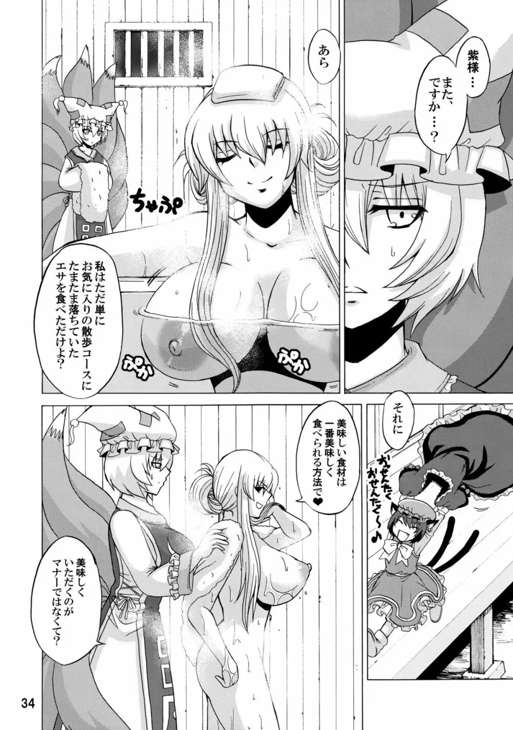 紫奥義・淫乳結界 -ハニーバンプ・東方総集編- Page.33