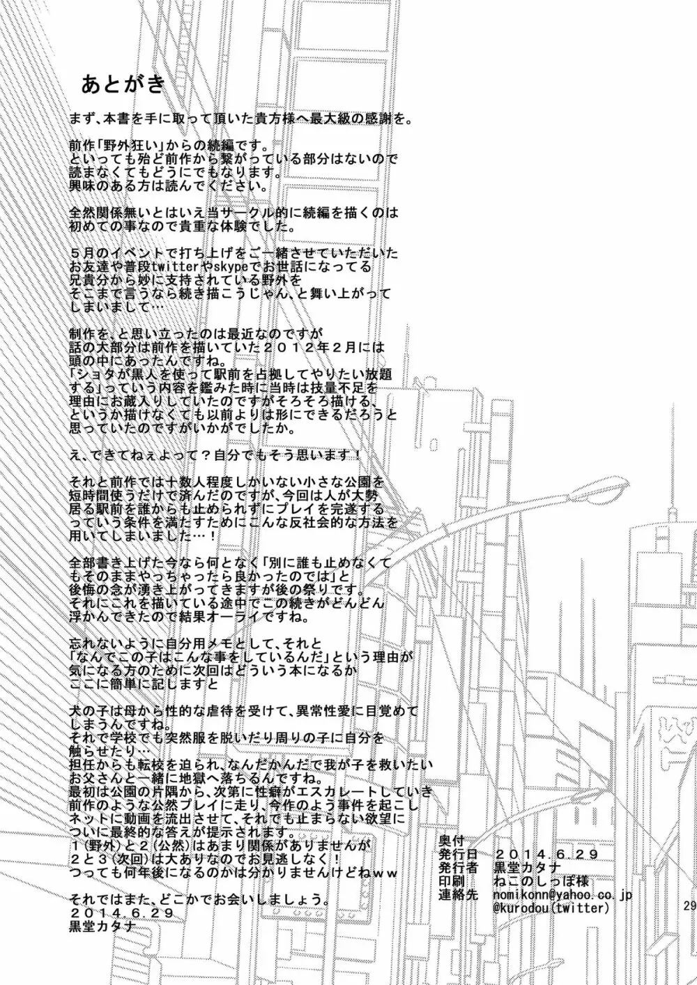 公然狂い Page.29