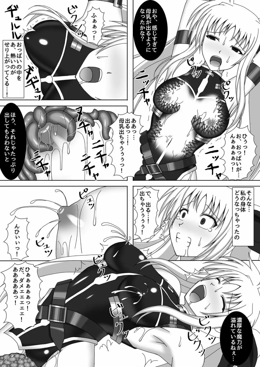 囚われの執務官 Page.22