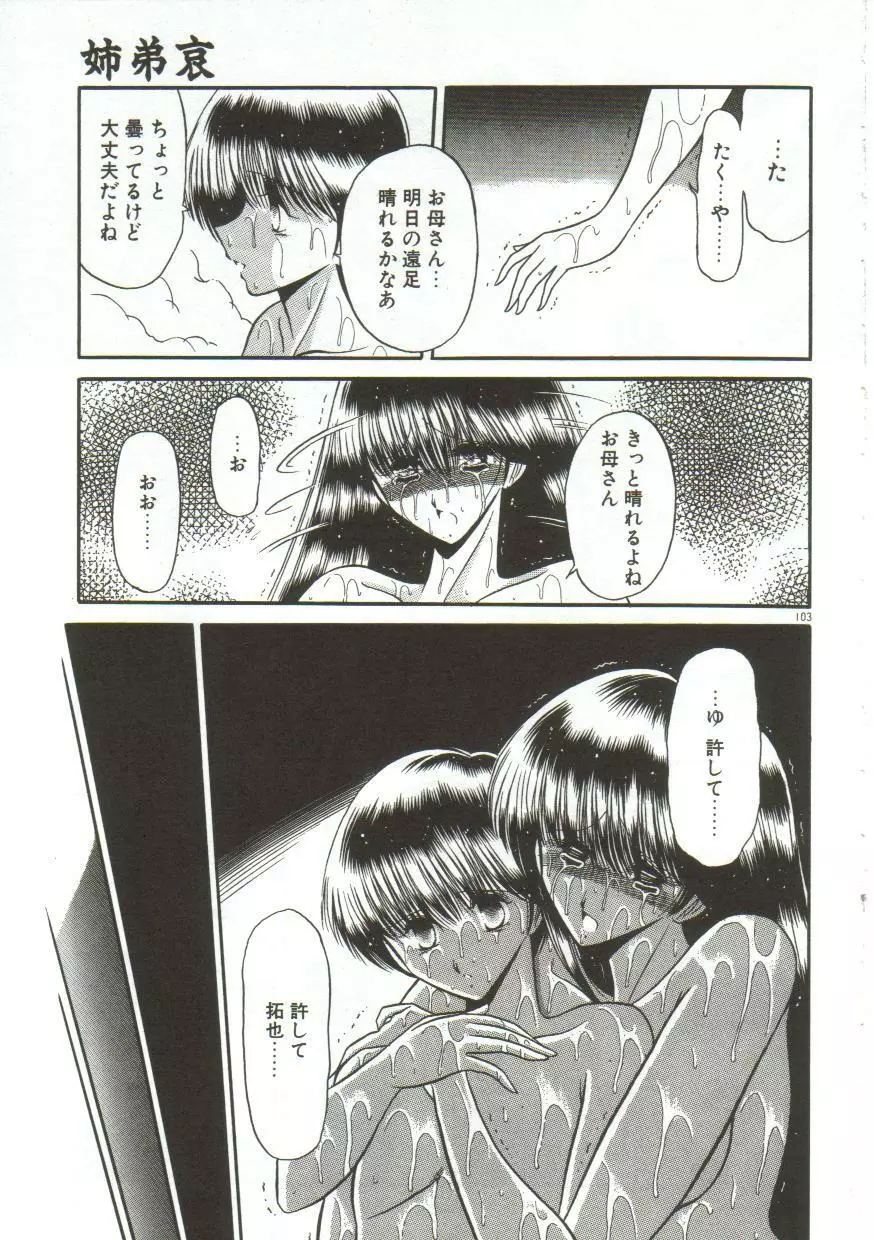 愛玩凌辱書 Page.101