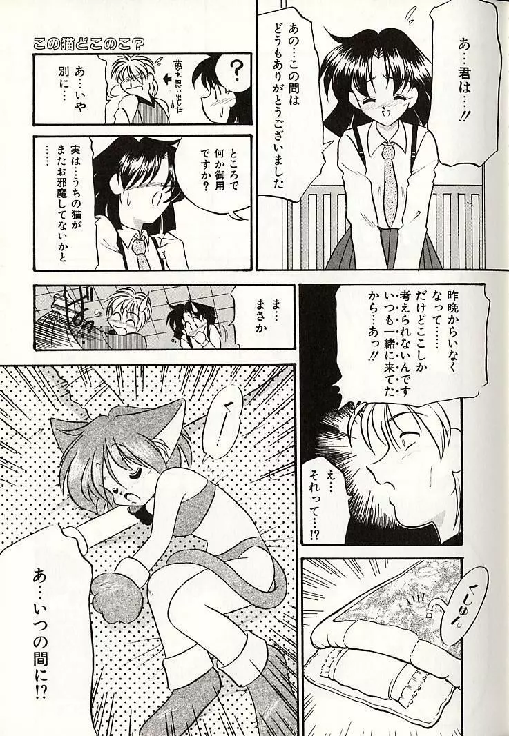 おしえてお姉サマ Page.60