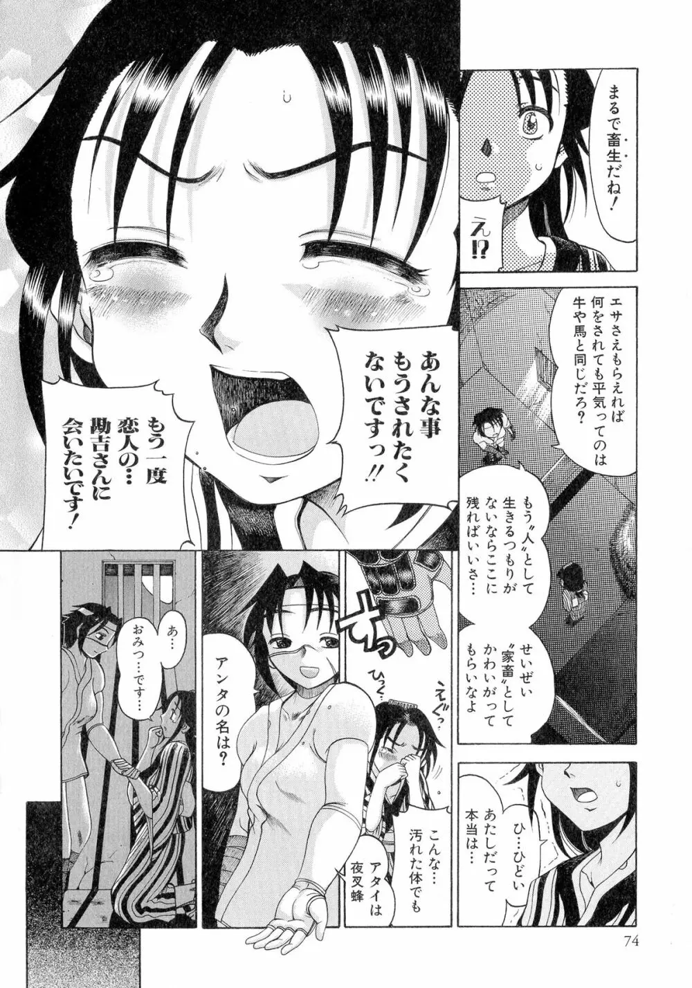 戦国姫武将凌辱伝 Page.73