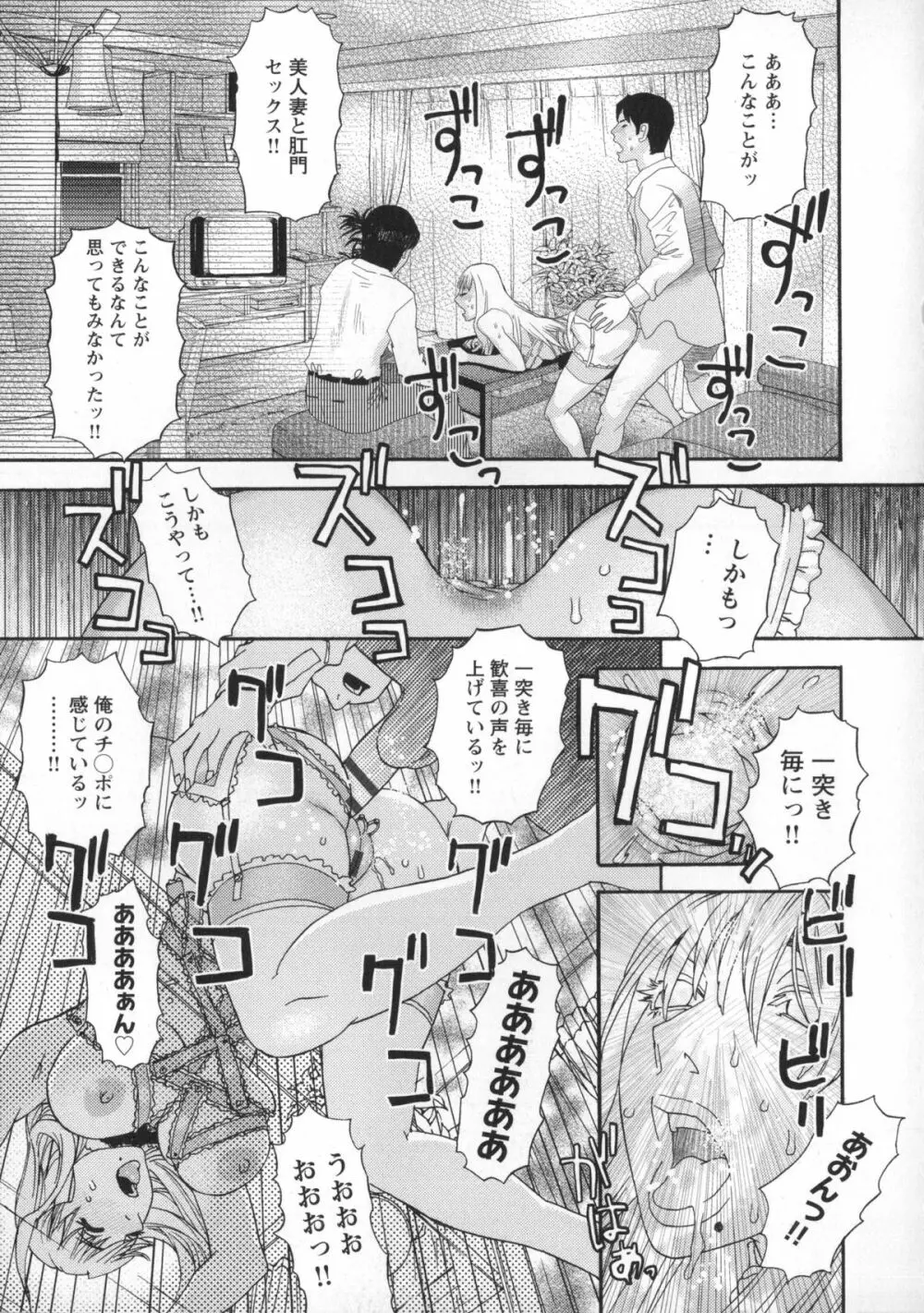 淫姿花伝 Page.28