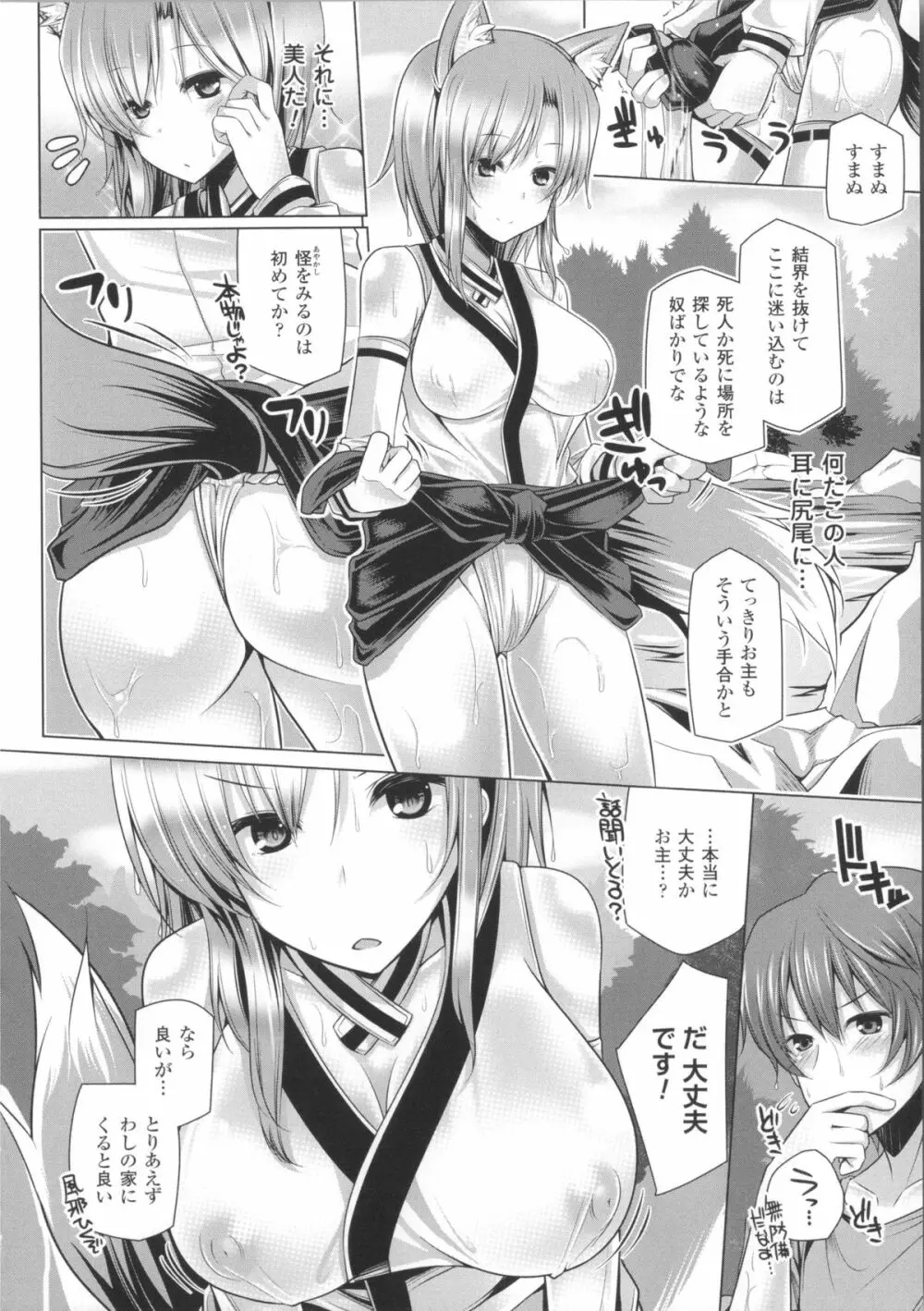 子種フルインストール!+ 4Pリーフレット Page.29