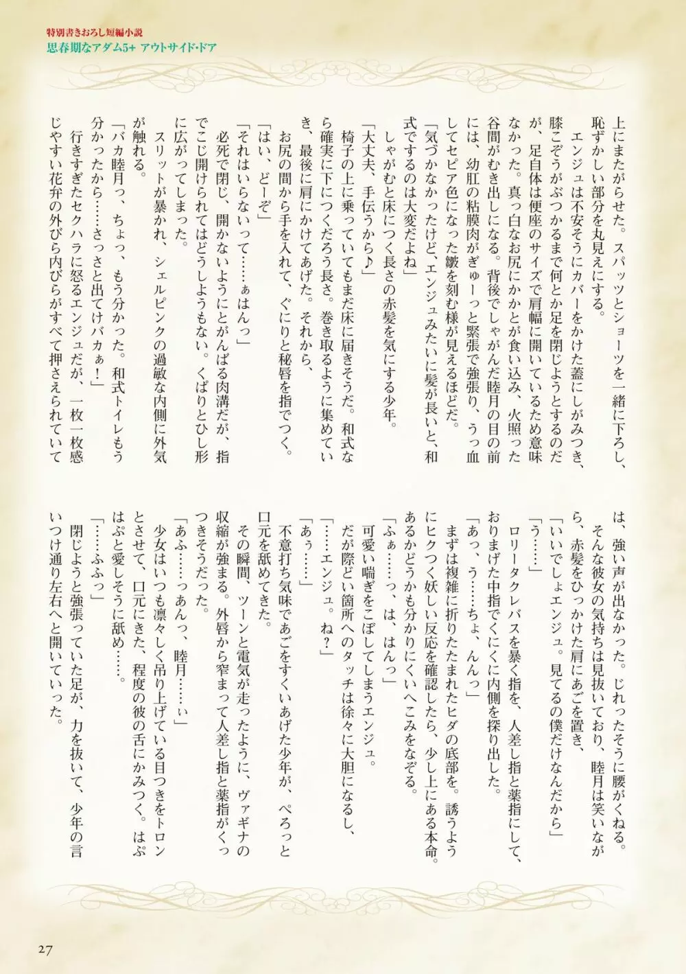 思春期なアダム　ちょいネタばれガイドブック Page.27