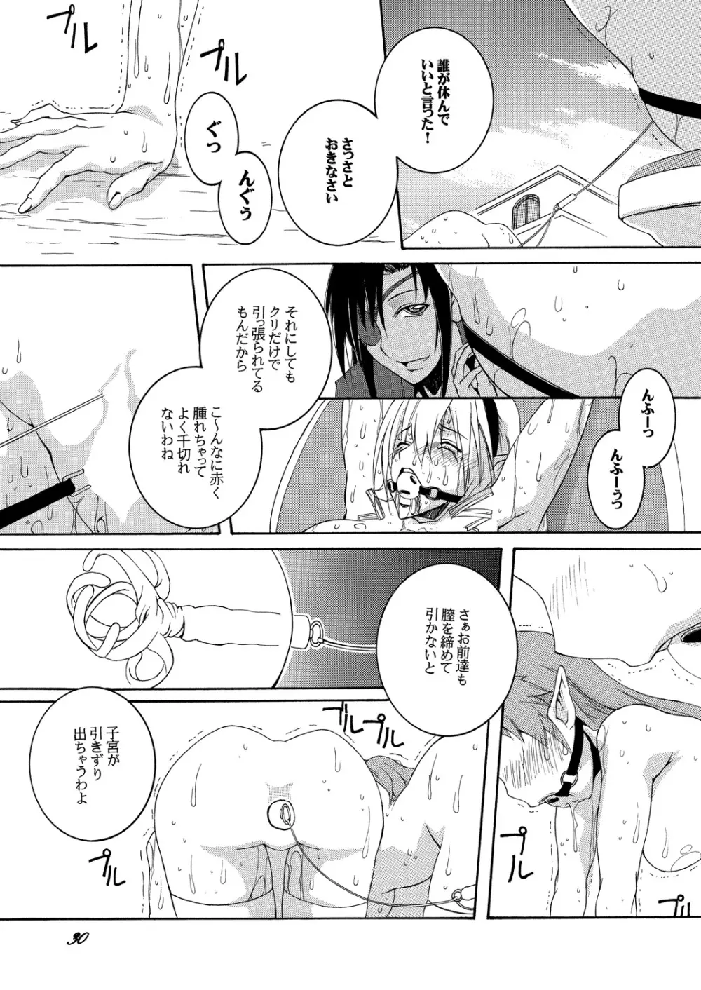 奴隷騎士スティア I Page.29