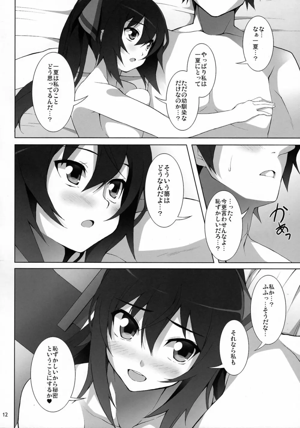 シノノノインフィニティ Page.13