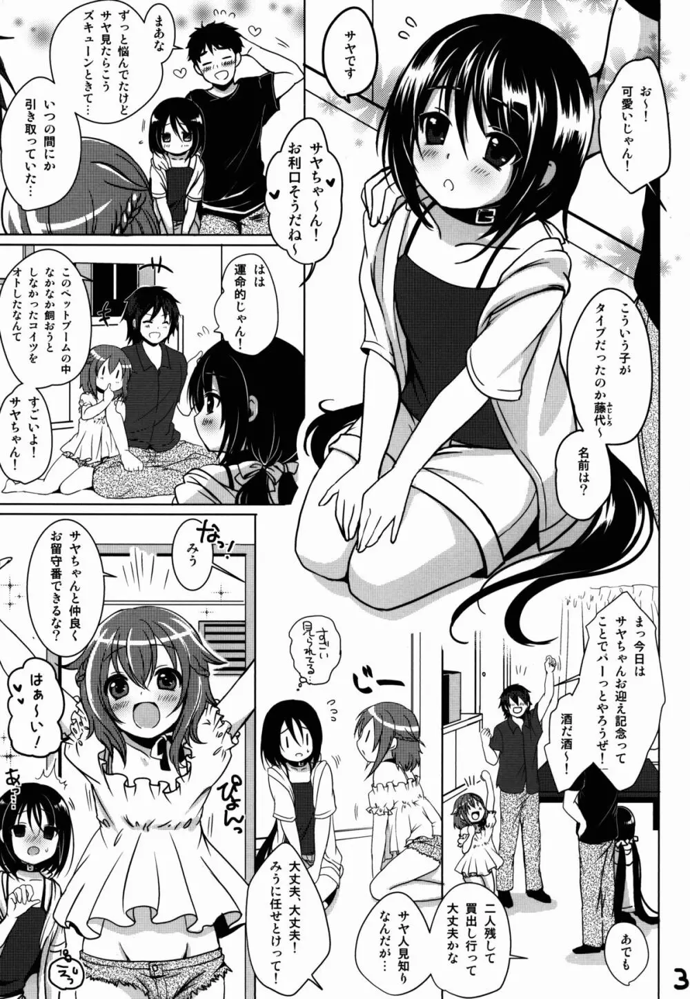 ぺっとらいふ Page.4