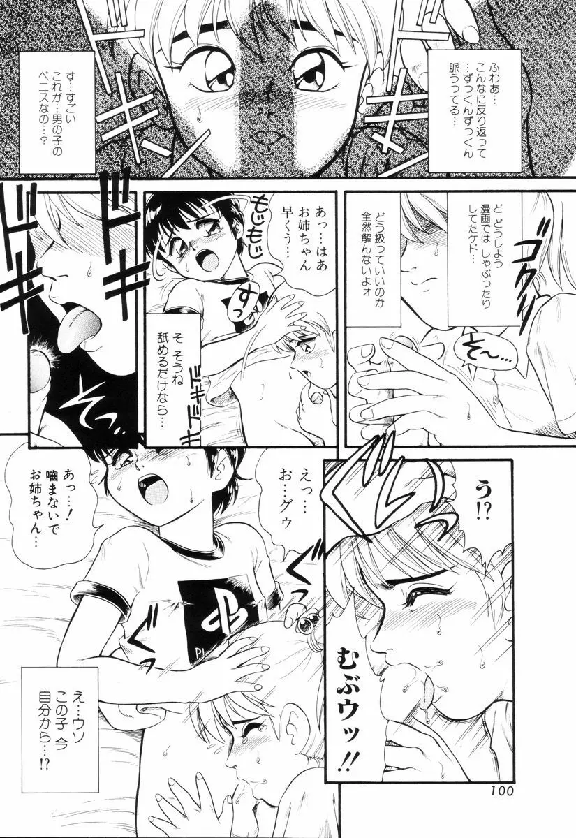 ディアリトルラヴァーズ Page.102