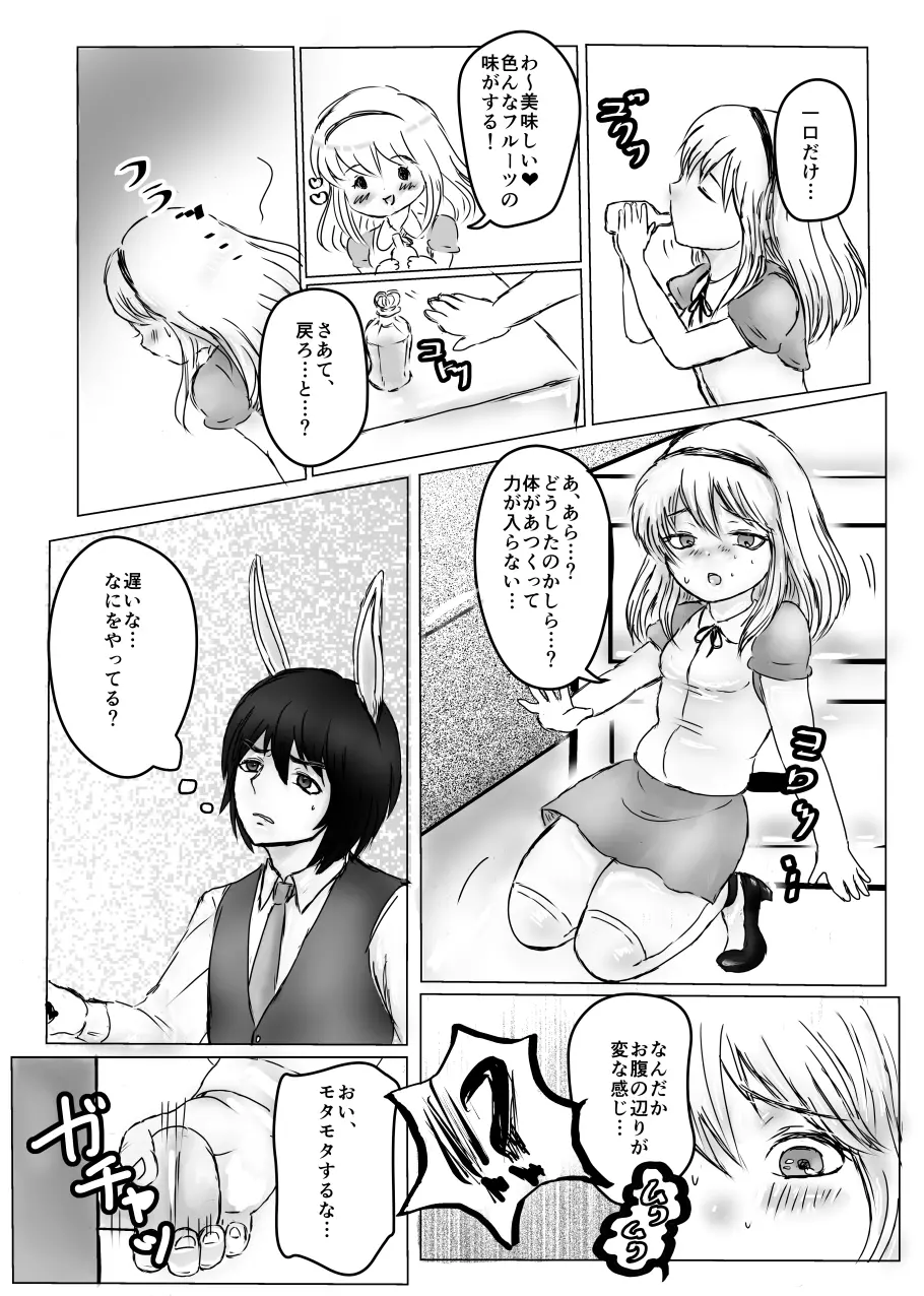 ふたなりアリスと白兎お兄さんのある昼下がりの出来事 Page.5