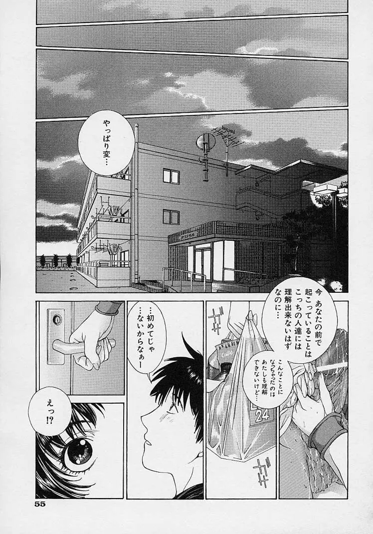 ｓｈｅｌｌ ーシェルー Page.63