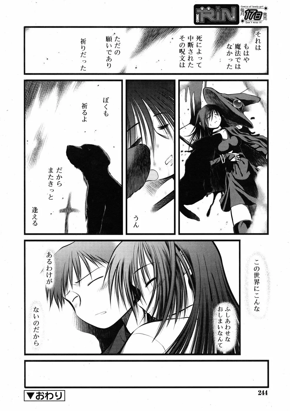 COMIC RiN 2009-01 Page.242