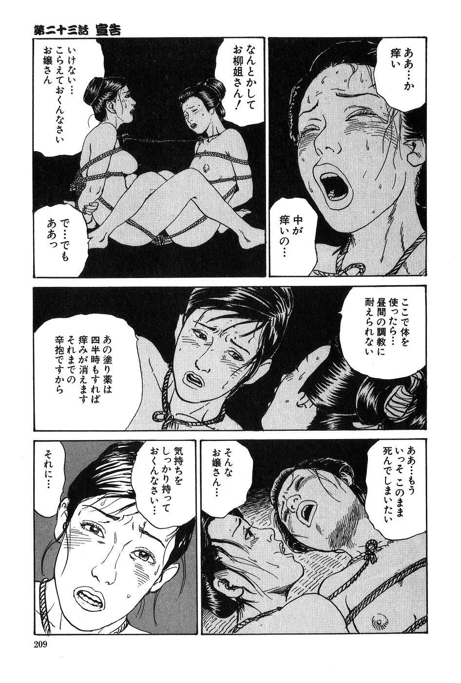 お柳情炎 下巻 Page.210