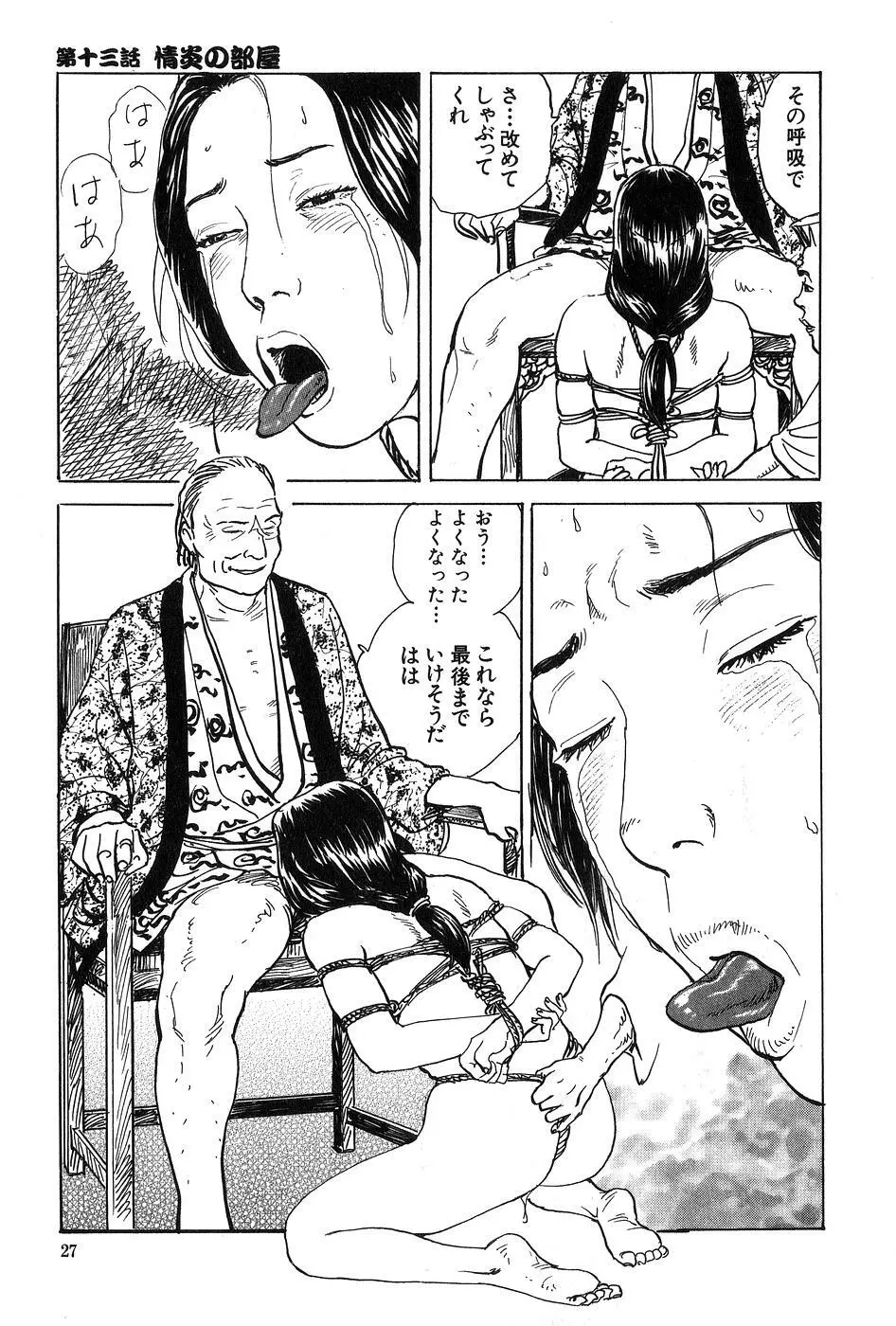 お柳情炎 下巻 Page.28