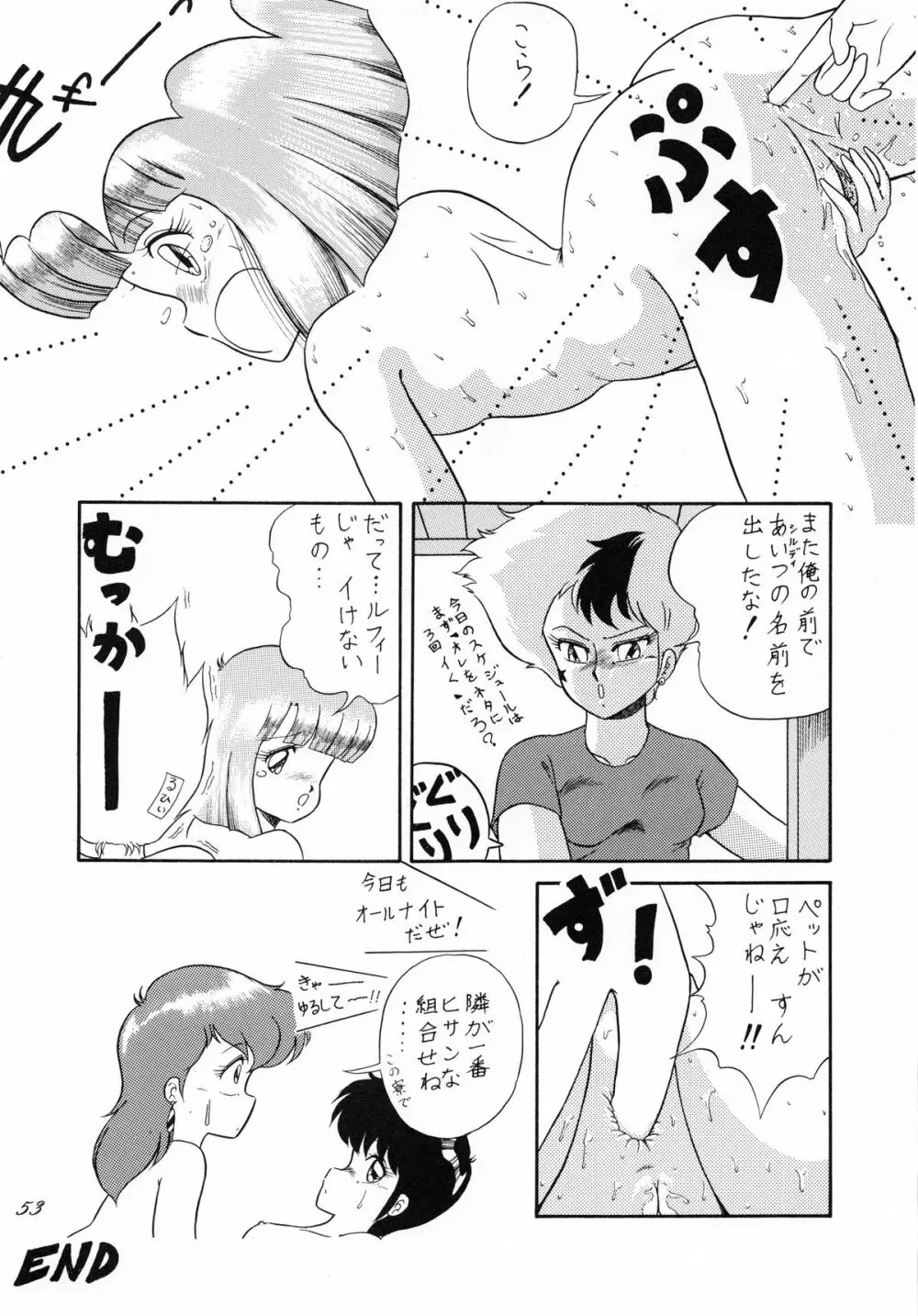 Cat's Mate RX Page.55