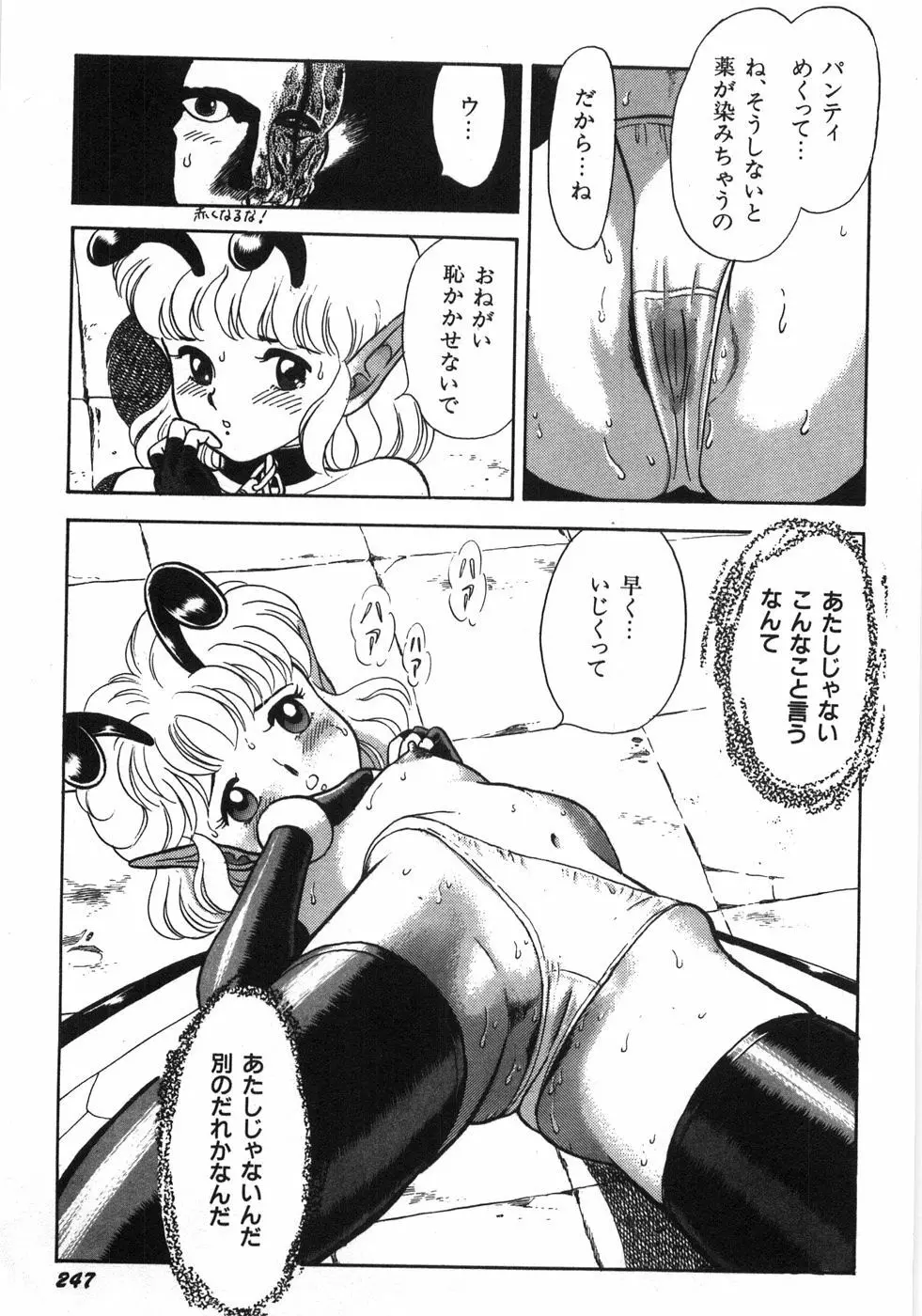 ボンデージフェアリーズ残忍姉妹 Page.253