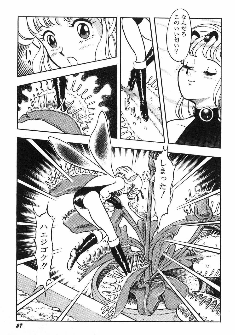 ボンデージフェアリーズ残忍姉妹 Page.33