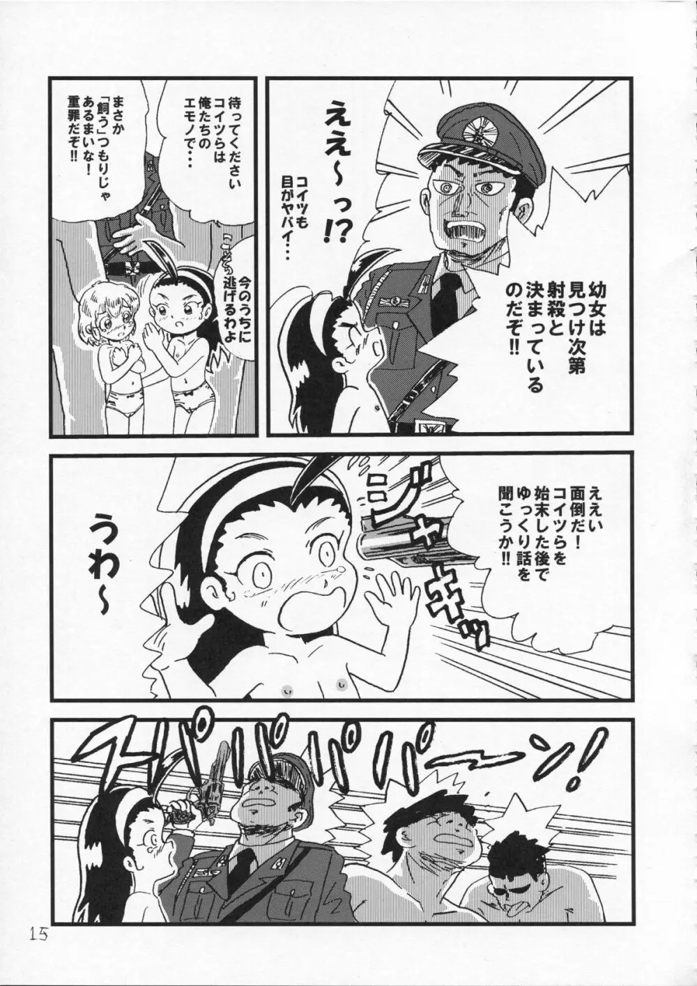 つるぺた研究報告書009 Page.15