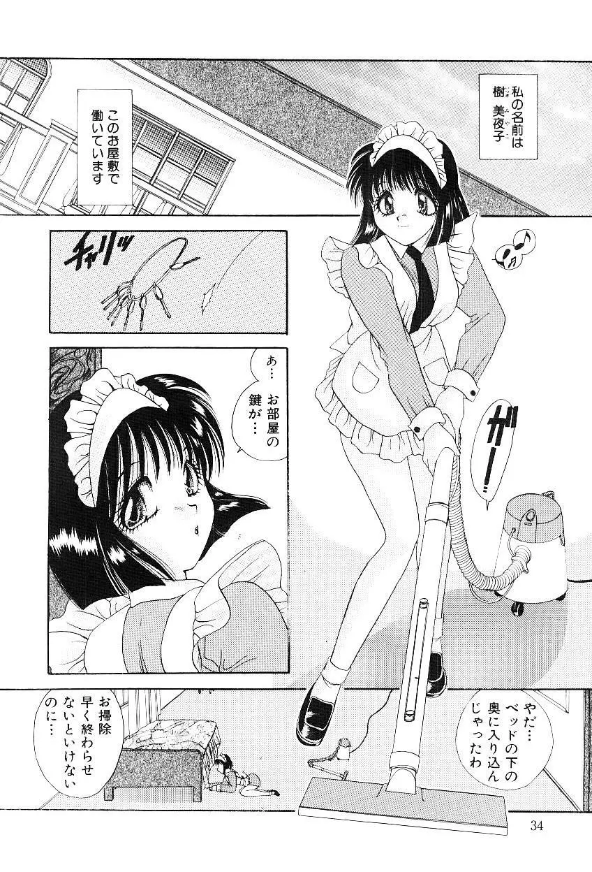 隷嬢美夜子 Page.35