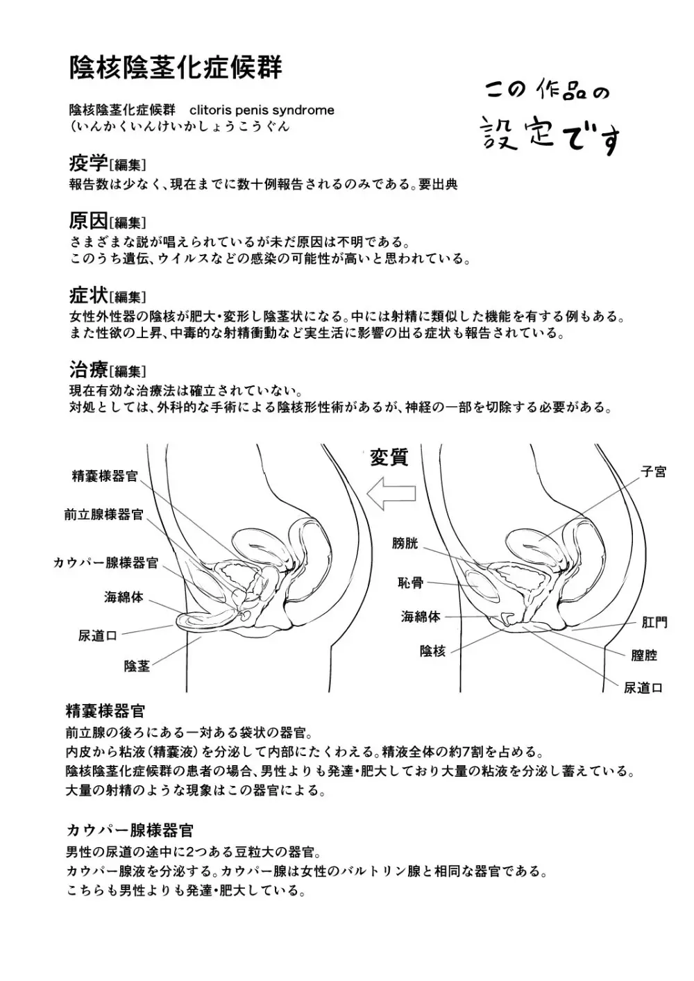 陰核陰茎化症候群 Page.36