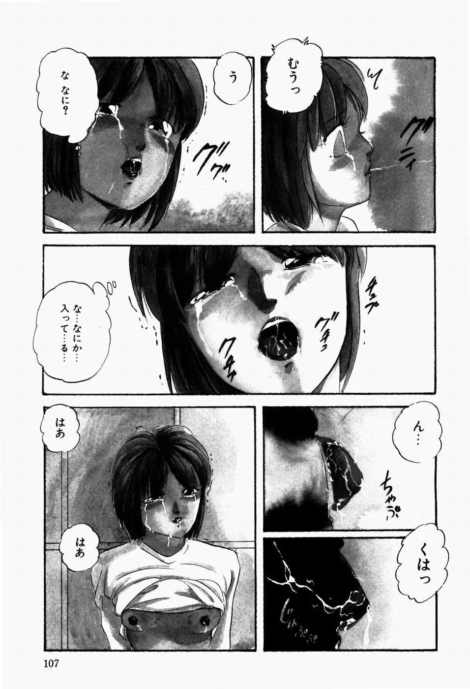 ファンシーツール Page.109