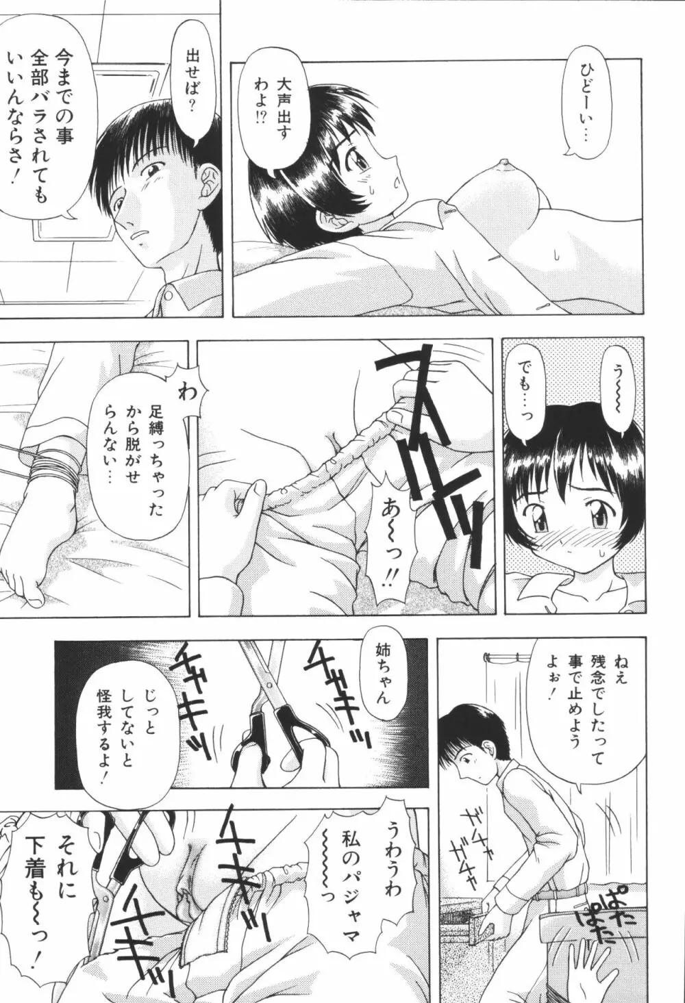 姉弟恋歌4 Page.177