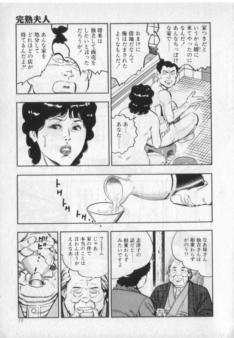 完熟夫人 Page.17