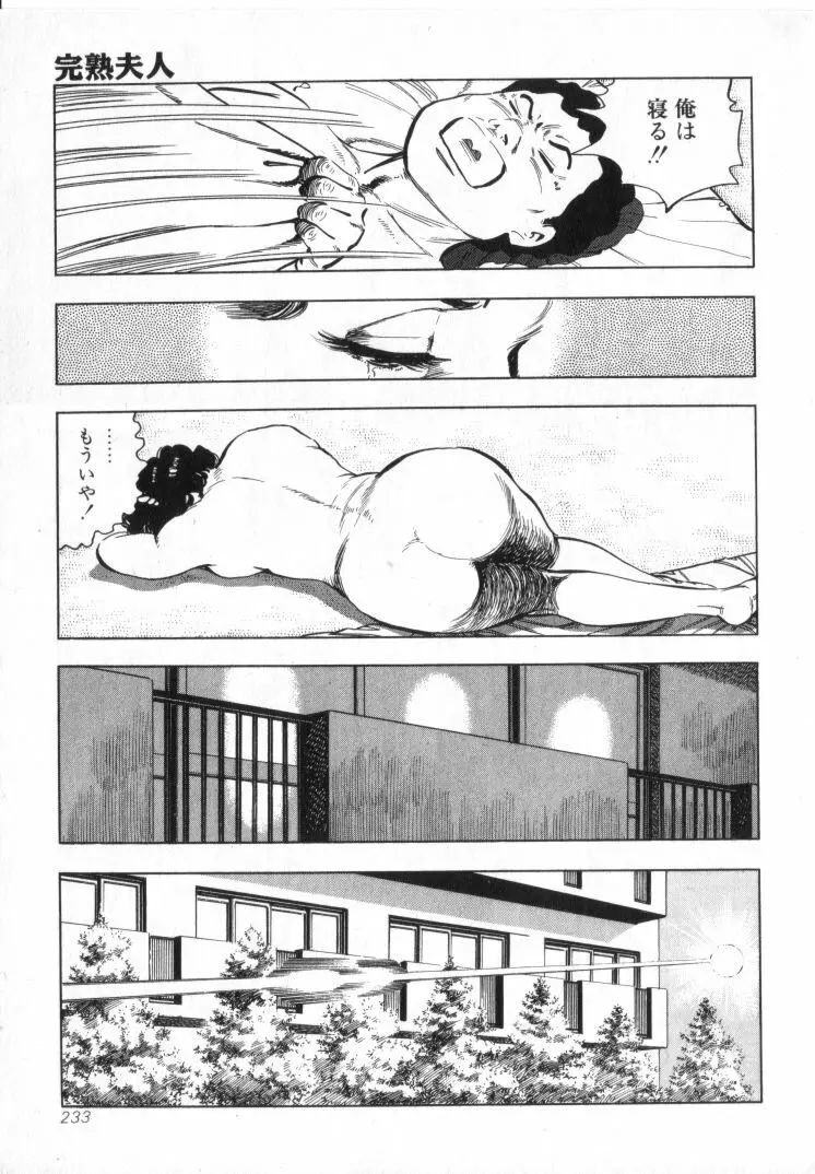 完熟夫人 Page.235