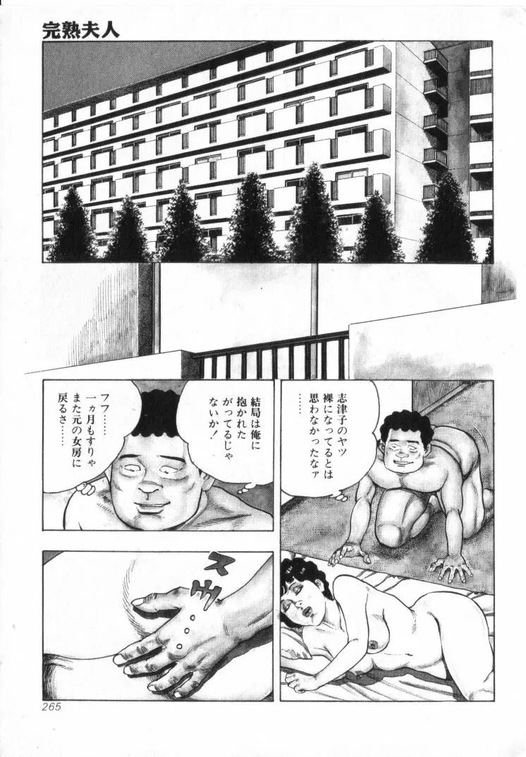 完熟夫人 Page.267