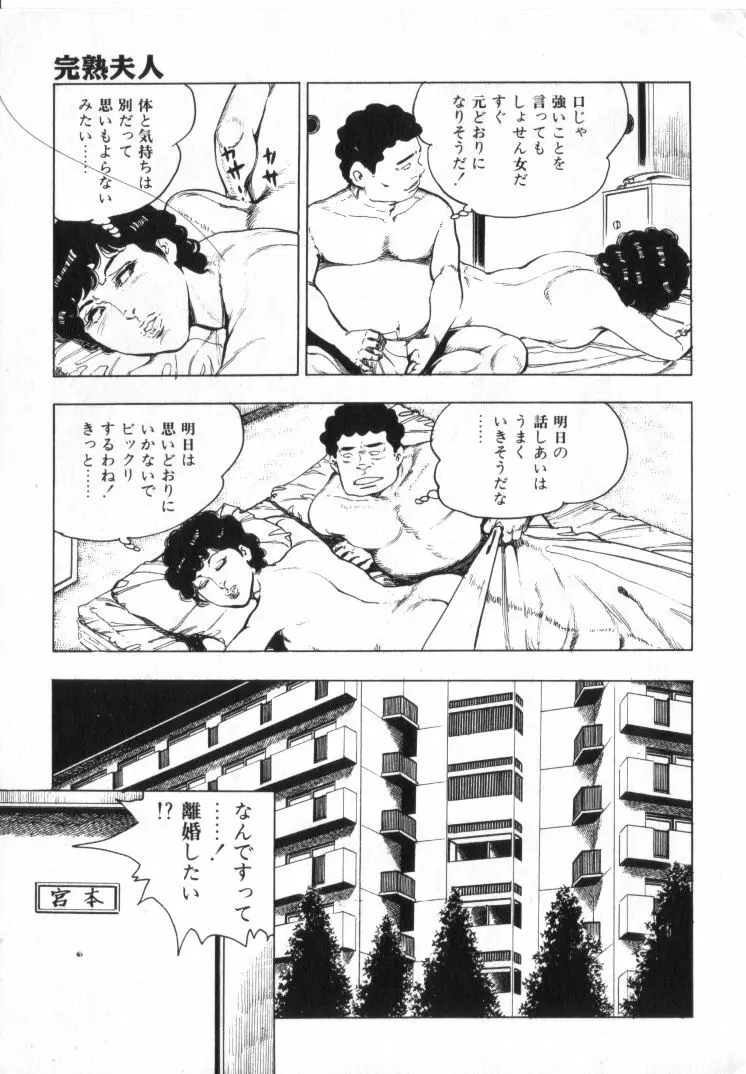完熟夫人 Page.275