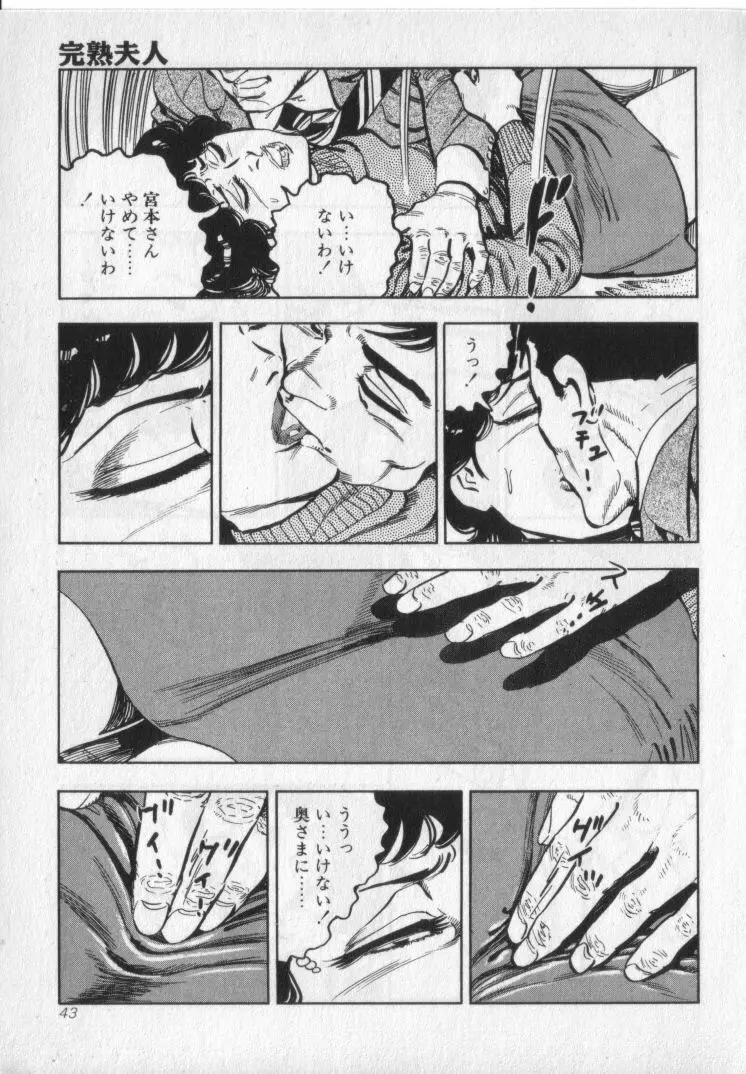 完熟夫人 Page.45