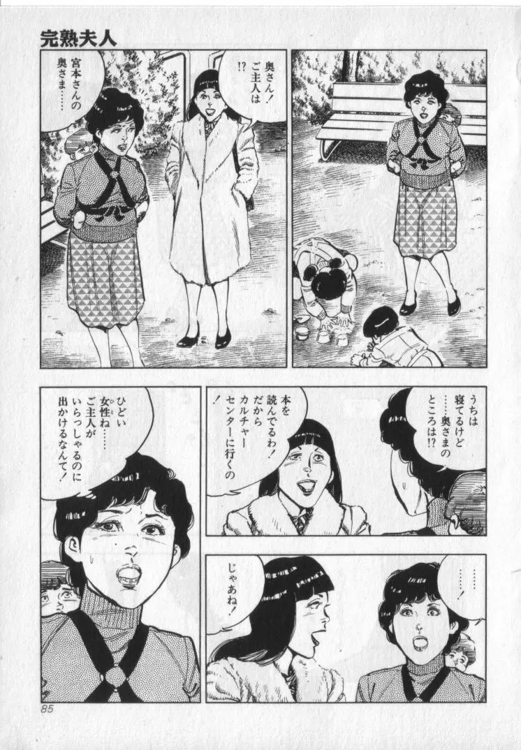 完熟夫人 Page.87