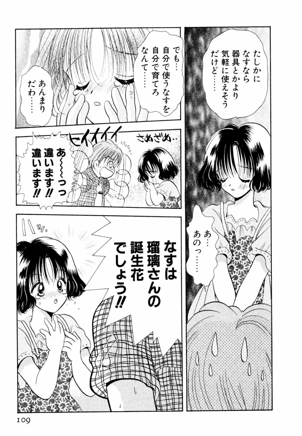 オレンジ色の花 Page.112