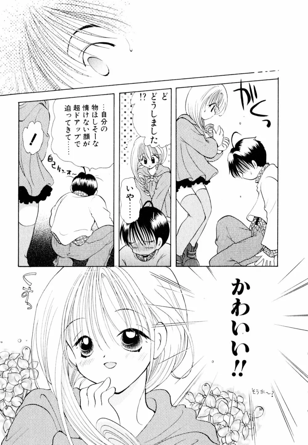 オレンジ色の花 Page.12