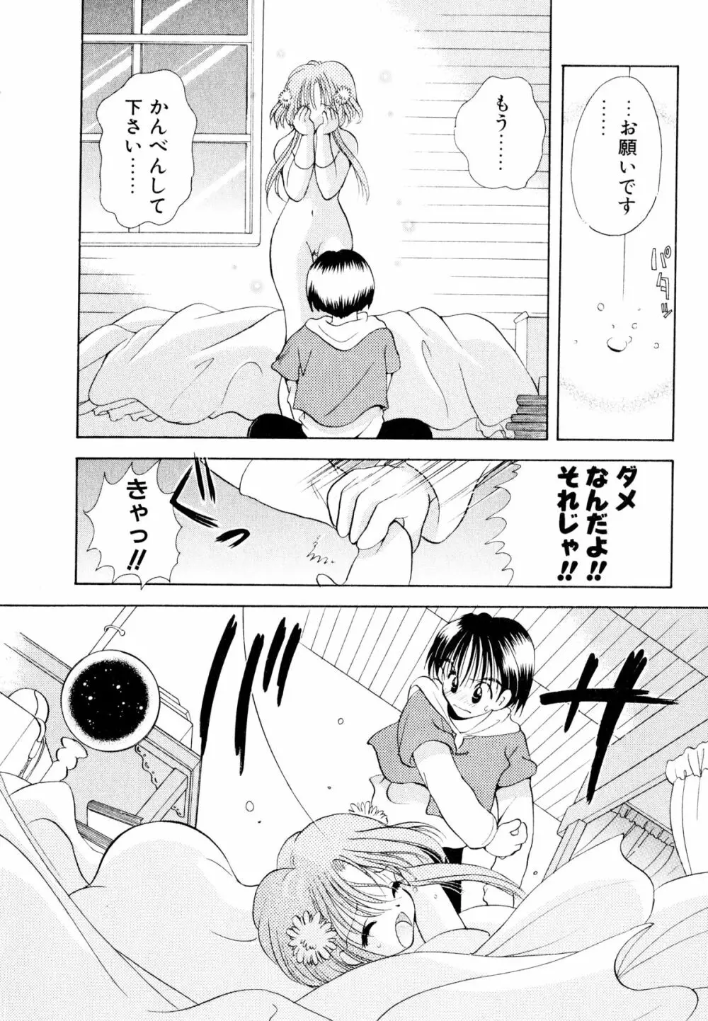 オレンジ色の花 Page.161