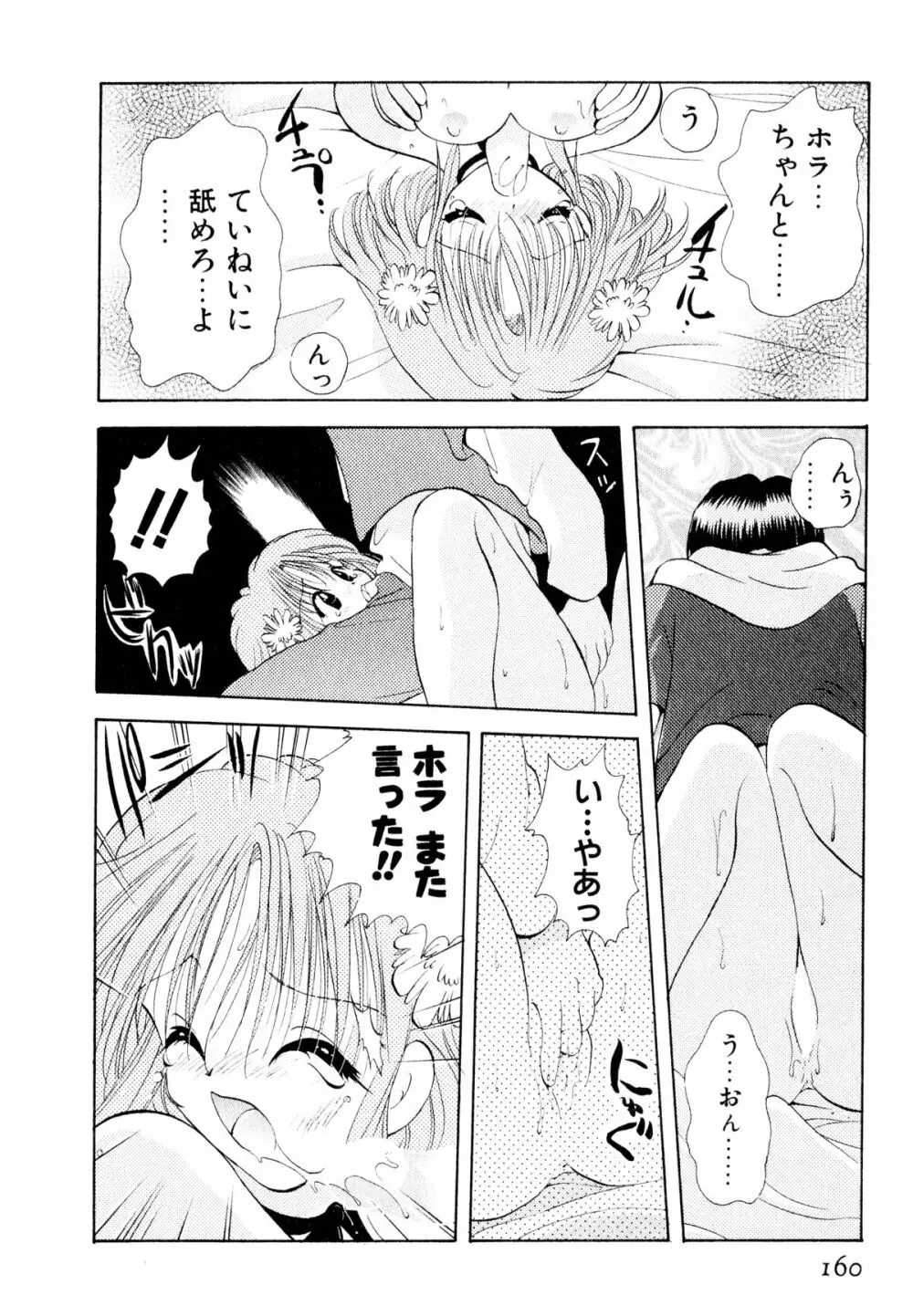 オレンジ色の花 Page.163