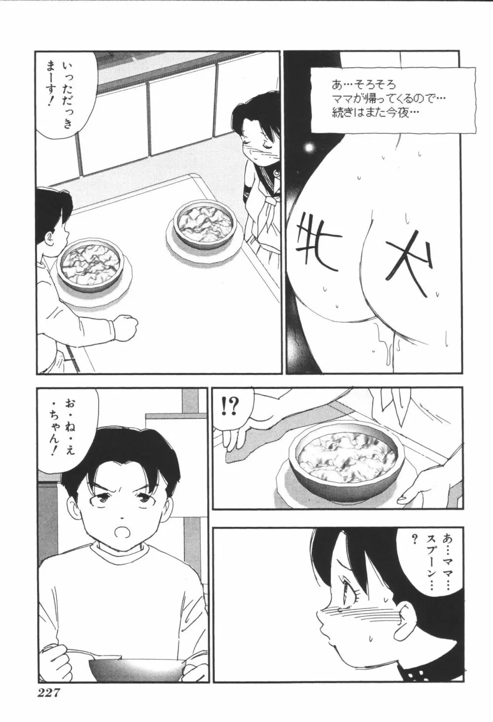 姉弟恋歌3 Page.229