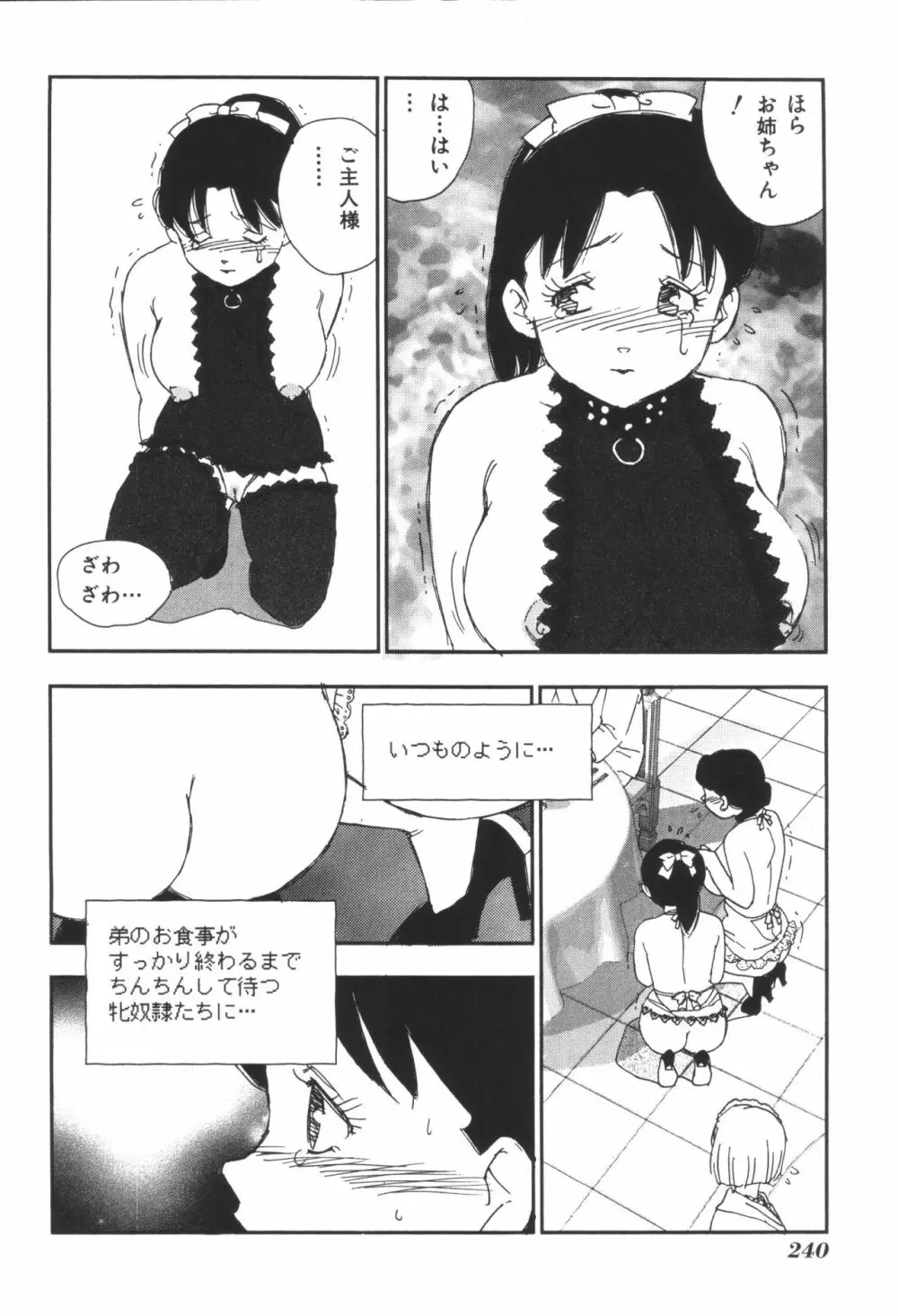 姉弟恋歌3 Page.242