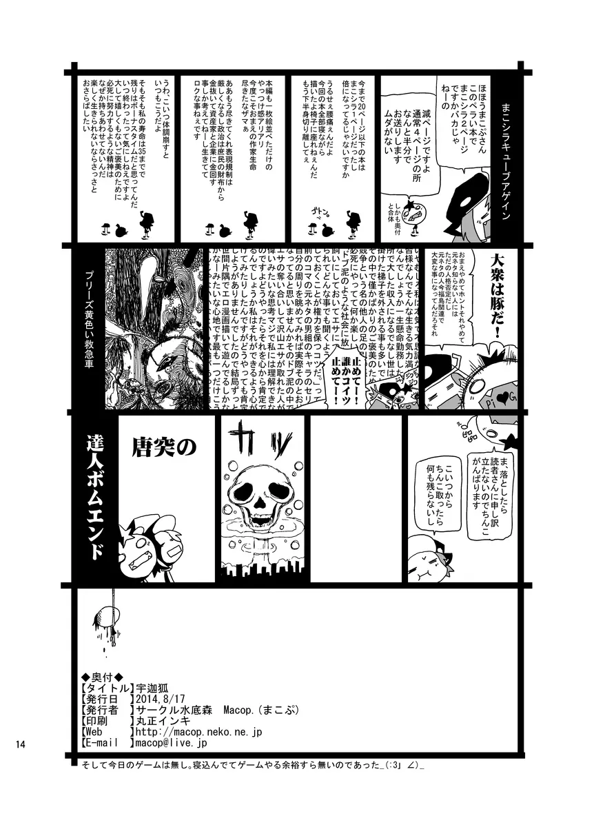 宇迦狐 Page.14