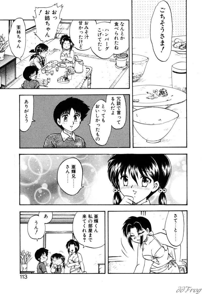 幻想少女図鑑 Page.110