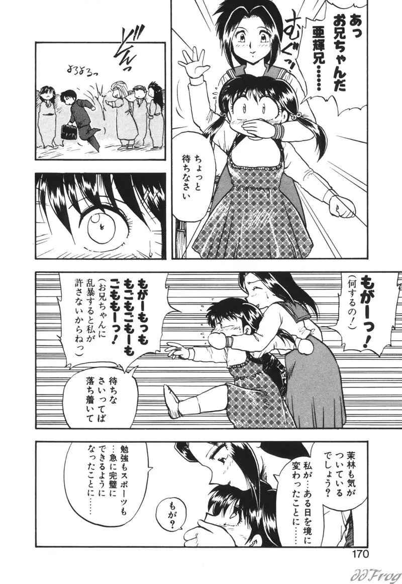 幻想少女図鑑 Page.166